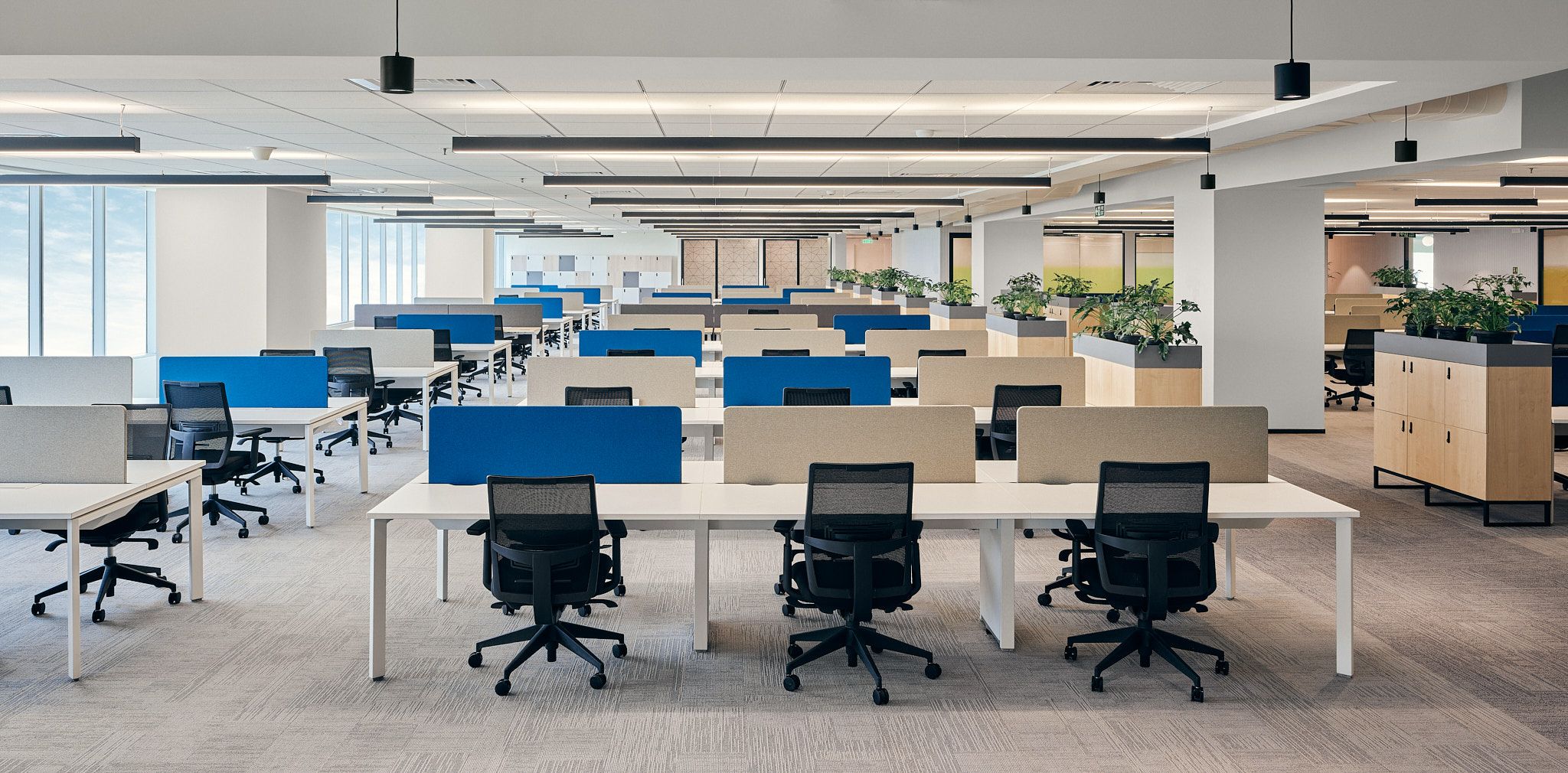 Custom Built Offices